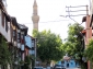 Bin Yıllık Çınar