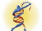 DNA, Bilgiyi Bilgisayardan Daha İyi Saklıyor